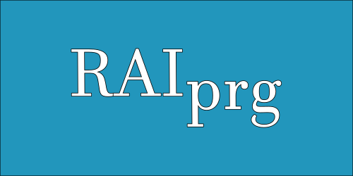 RAI Team